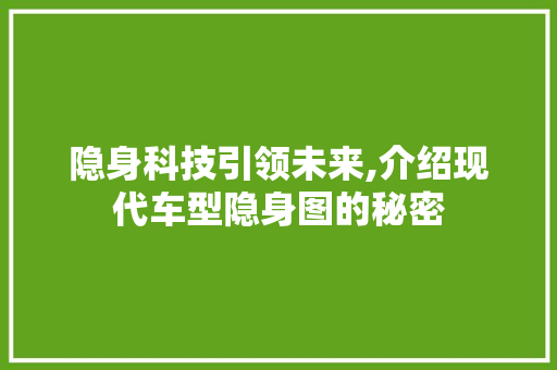 隐身科技引领未来,介绍现代车型隐身图的秘密