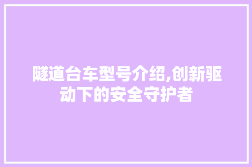 隧道台车型号介绍,创新驱动下的安全守护者