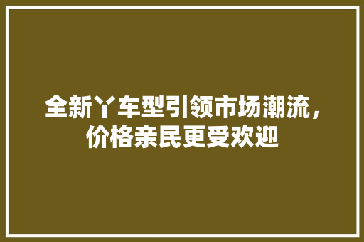 全新丫车型引领市场潮流，价格亲民更受欢迎