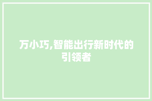万小巧,智能出行新时代的引领者