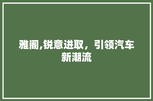 雅阁,锐意进取，引领汽车新潮流