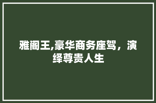 雅阁王,豪华商务座驾，演绎尊贵人生