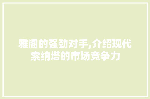 雅阁的强劲对手,介绍现代索纳塔的市场竞争力