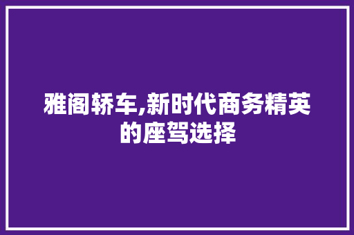 雅阁轿车,新时代商务精英的座驾选择