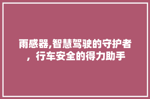 雨感器,智慧驾驶的守护者，行车安全的得力助手