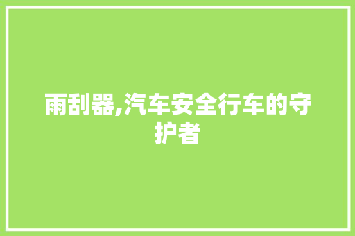 雨刮器,汽车安全行车的守护者