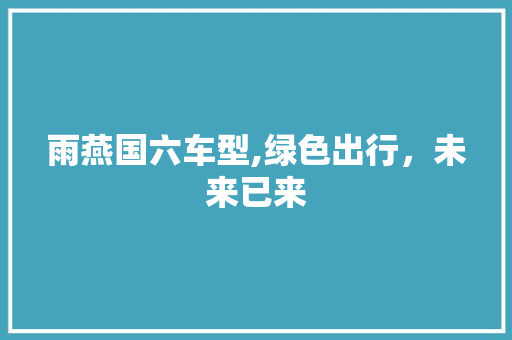 雨燕国六车型,绿色出行，未来已来