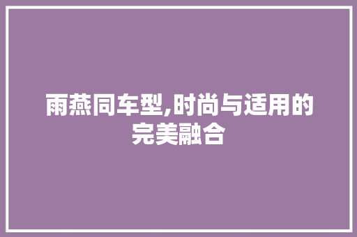 雨燕同车型,时尚与适用的完美融合
