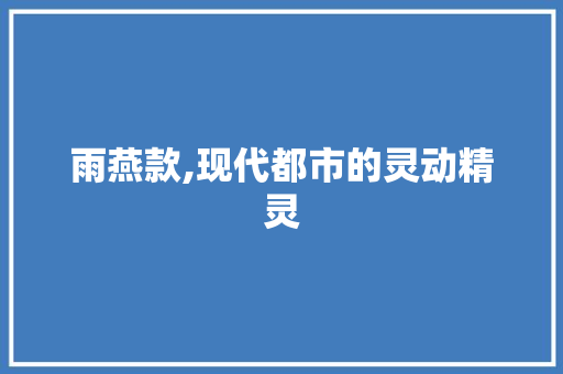 雨燕款,现代都市的灵动精灵