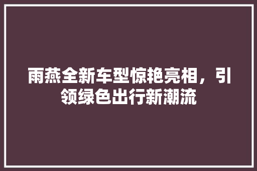 雨燕全新车型惊艳亮相，引领绿色出行新潮流