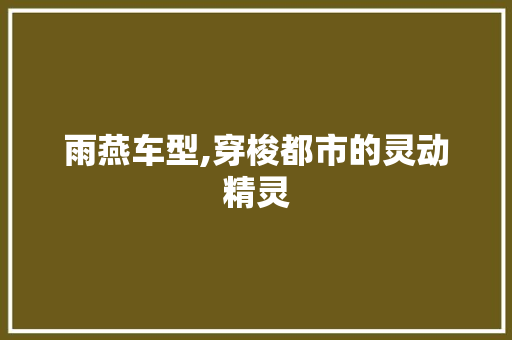 雨燕车型,穿梭都市的灵动精灵
