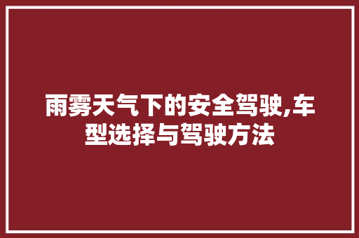 雨雾天气下的安全驾驶,车型选择与驾驶方法