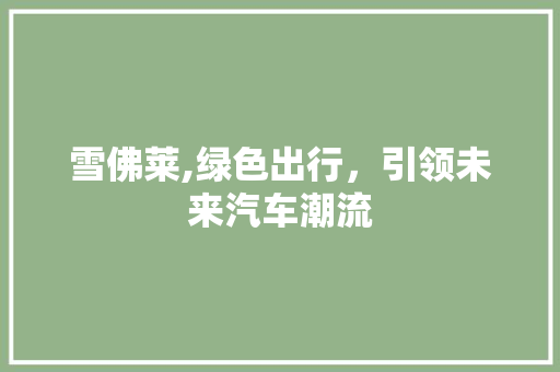 雪佛莱,绿色出行，引领未来汽车潮流