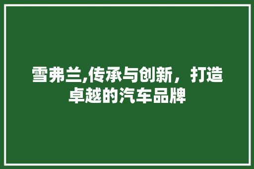雪弗兰,传承与创新，打造卓越的汽车品牌