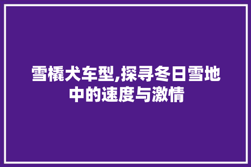 雪橇犬车型,探寻冬日雪地中的速度与激情