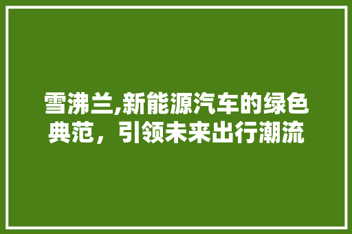 雪沸兰,新能源汽车的绿色典范，引领未来出行潮流