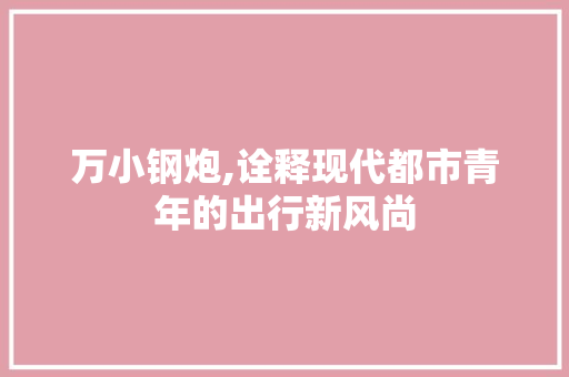 万小钢炮,诠释现代都市青年的出行新风尚