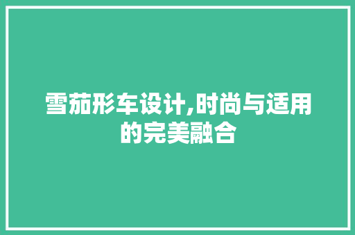 雪茄形车设计,时尚与适用的完美融合