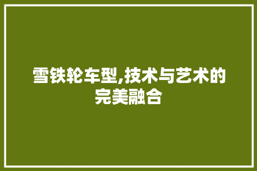 雪铁轮车型,技术与艺术的完美融合