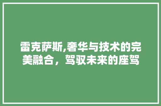 雷克萨斯,奢华与技术的完美融合，驾驭未来的座驾