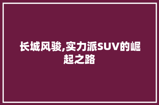 长城风骏,实力派SUV的崛起之路 变速箱配件