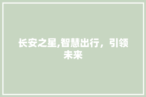 长安之星,智慧出行，引领未来