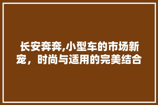 长安奔奔,小型车的市场新宠，时尚与适用的完美结合