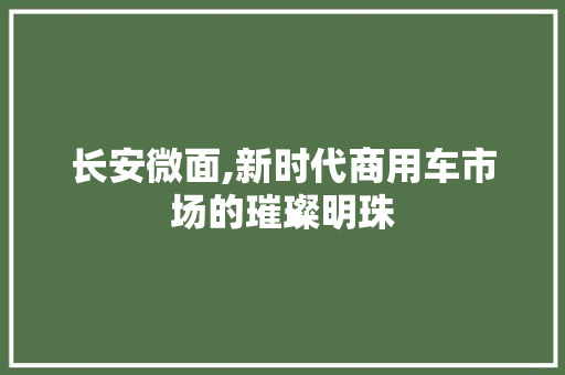 长安微面,新时代商用车市场的璀璨明珠