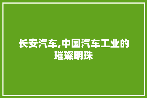 长安汽车,中国汽车工业的璀璨明珠
