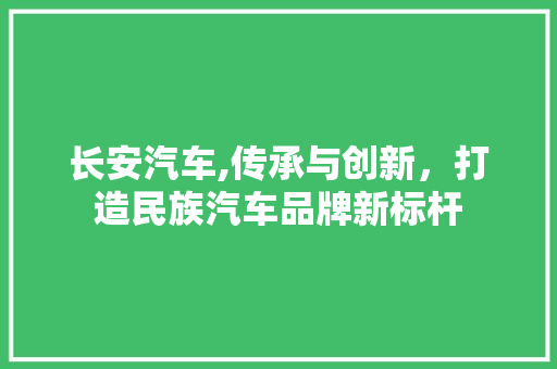 长安汽车,传承与创新，打造民族汽车品牌新标杆