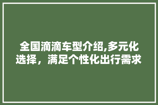 全国滴滴车型介绍,多元化选择，满足个性化出行需求 新能源汽车