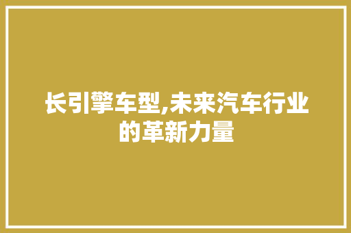 长引擎车型,未来汽车行业的革新力量