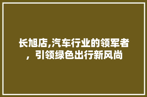 长旭店,汽车行业的领军者，引领绿色出行新风尚