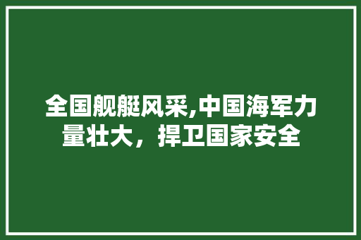 全国舰艇风采,中国海军力量壮大，捍卫国家安全
