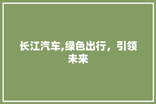 长江汽车,绿色出行，引领未来