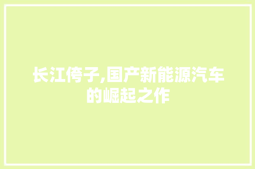 长江侉子,国产新能源汽车的崛起之作