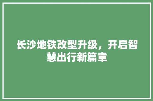 长沙地铁改型升级，开启智慧出行新篇章