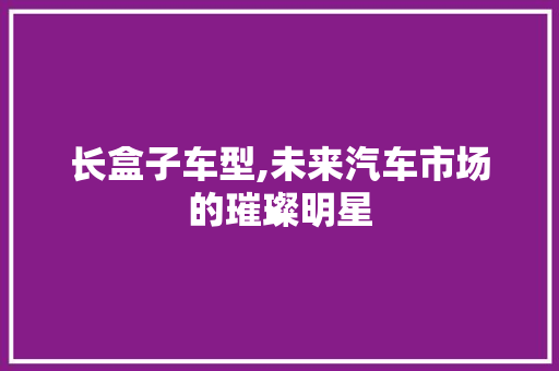 长盒子车型,未来汽车市场的璀璨明星