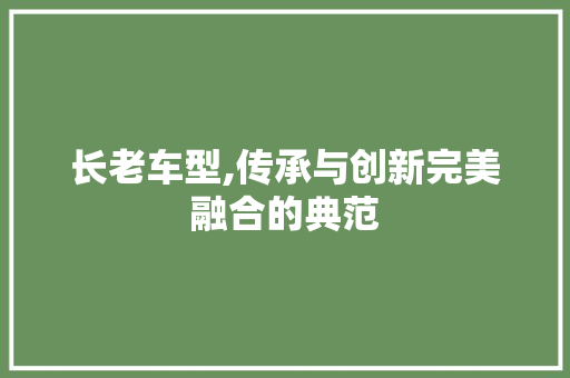 长老车型,传承与创新完美融合的典范