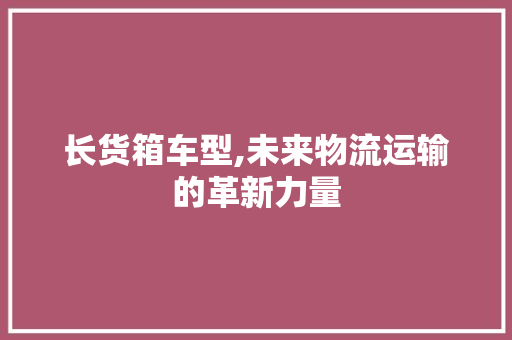 长货箱车型,未来物流运输的革新力量