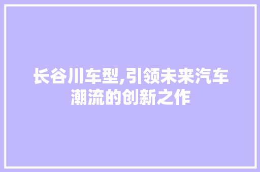 长谷川车型,引领未来汽车潮流的创新之作