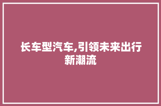 长车型汽车,引领未来出行新潮流
