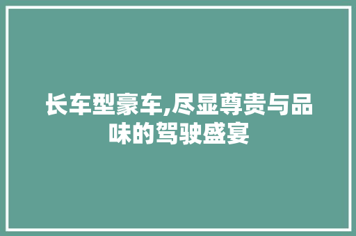 长车型豪车,尽显尊贵与品味的驾驶盛宴