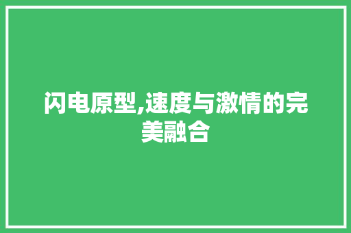闪电原型,速度与激情的完美融合