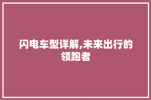 闪电车型详解,未来出行的领跑者