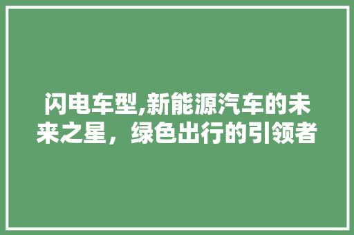 闪电车型,新能源汽车的未来之星，绿色出行的引领者