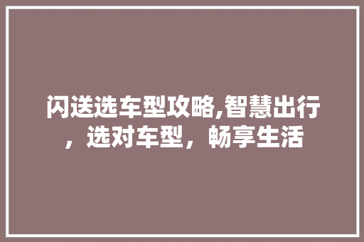 闪送选车型攻略,智慧出行，选对车型，畅享生活