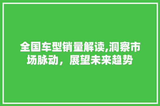 全国车型销量解读,洞察市场脉动，展望未来趋势