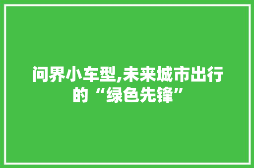 问界小车型,未来城市出行的“绿色先锋”