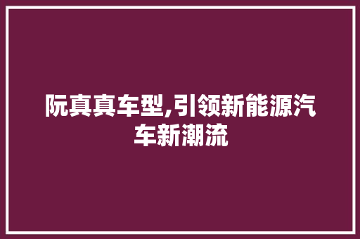 阮真真车型,引领新能源汽车新潮流